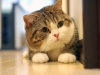 Portrait de OnOff